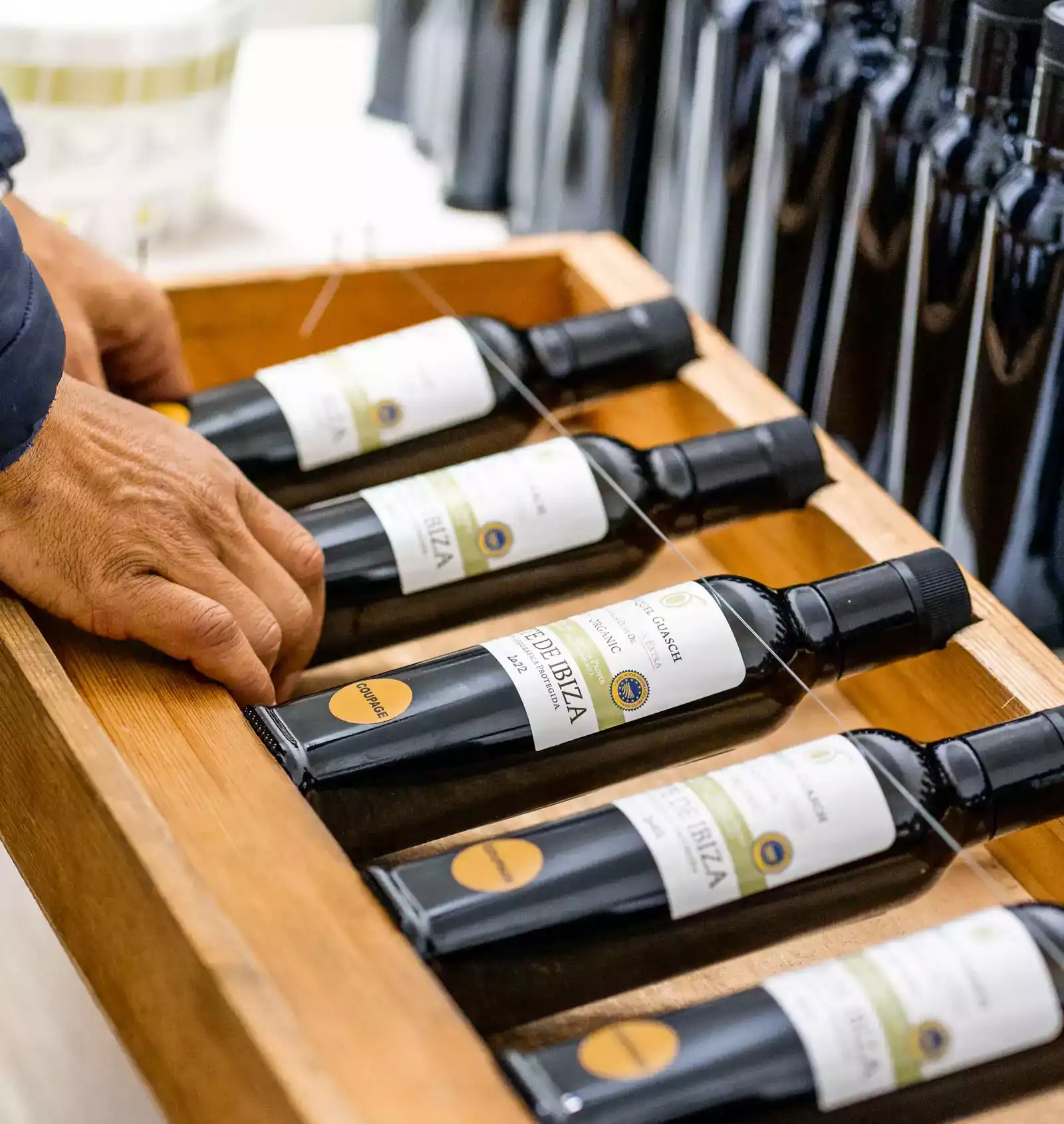 Detail of the Can Miquel Guasch olive oil mill oils