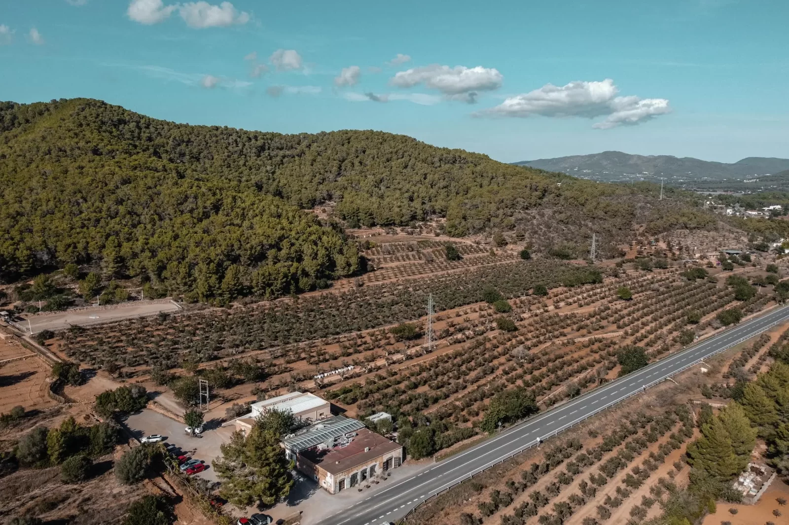 Vista aérea Oleteca Ses Escoles y finca Can Miquel Guasch